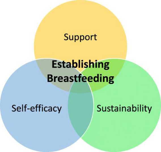 Breastfeeding SelfEfficacy, Efikasi Diri Menyusui Sebagai Penentu Keberhasilan Pemberian ASI 4 breast
