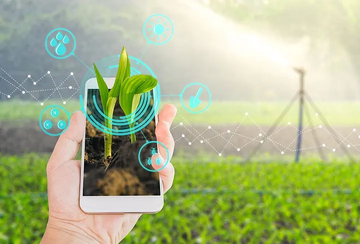 iot pertaninan