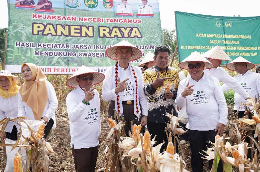 jaim kejati lampung