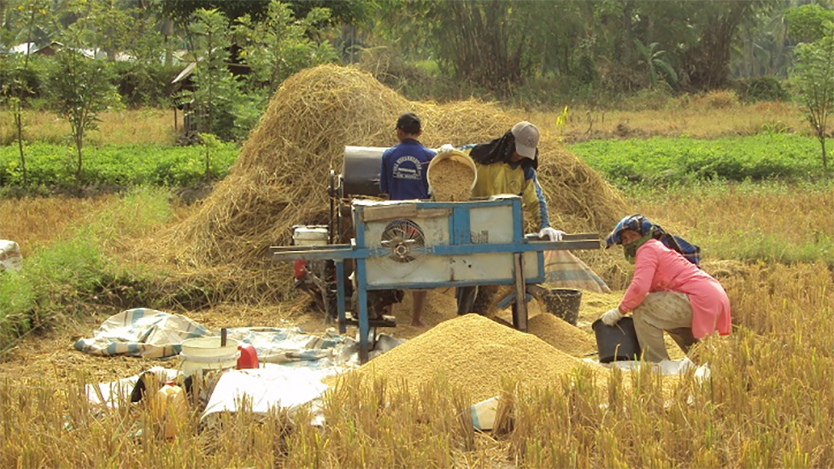 perontok padi