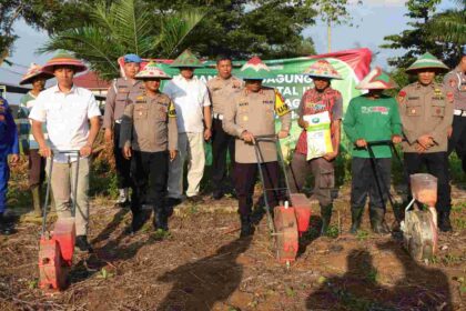 ketahanan pangan pol
