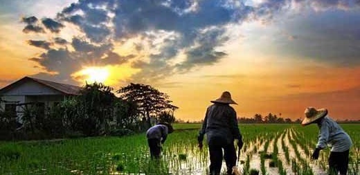 Ekosistem Pembangunan Desa Jadi Kunci Kemandirian 1 pemuda desa
