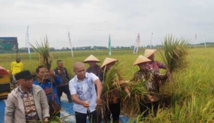 petani mitra adhyaksa