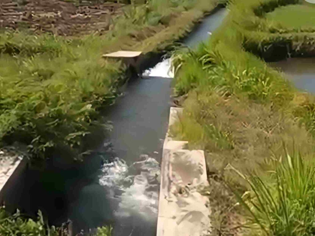 air sawah