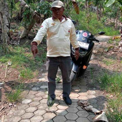 paving blok sumanda