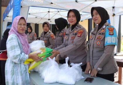 pol pangan murah