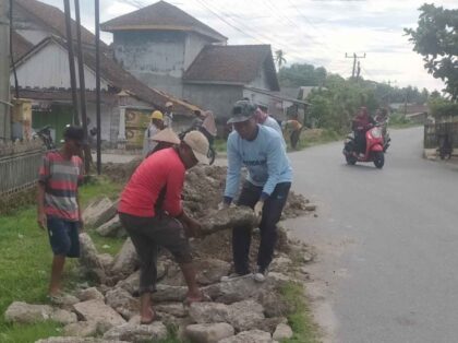 Gotong Royong Perbaikan Jalan di Desa Sumber Harjo, Warga Pertanyakan Ketidakhadiran BPD 2 gotong royong bpd