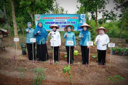 pkk lampung