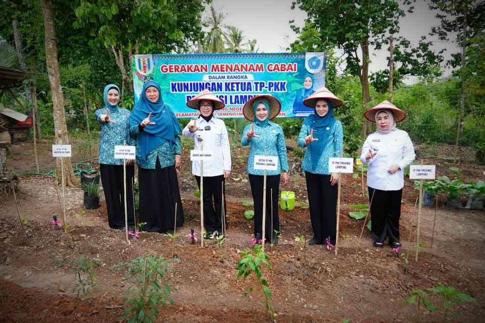 pkk lampung