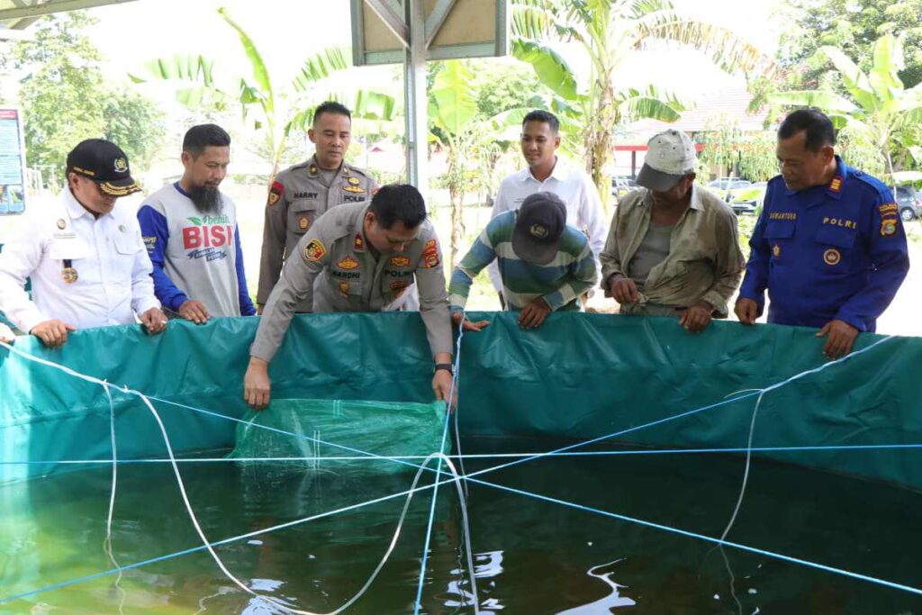 pol tebar ikan