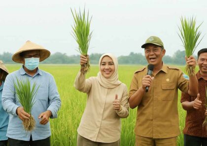 bibit beras.png