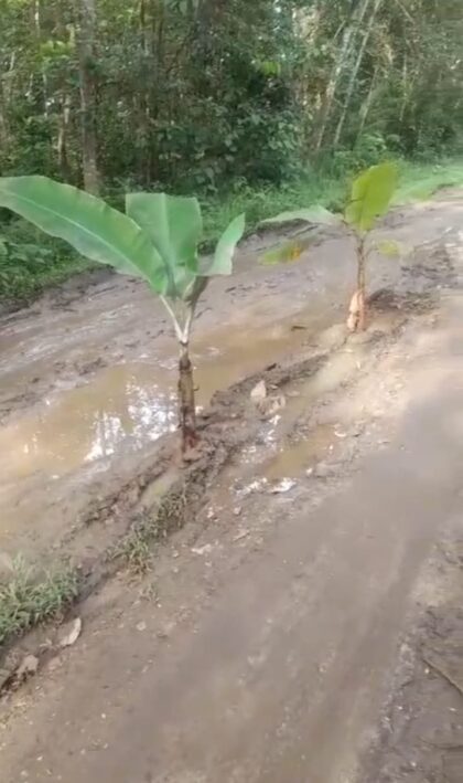jalan hancur di desa padasuka kecamatan maja lebak