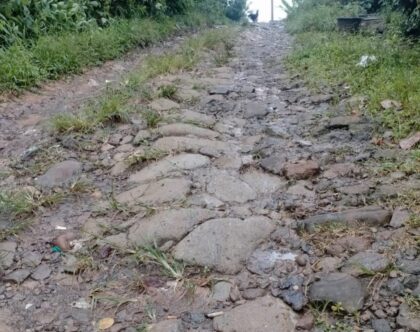 jalan poros desa jalupang mulya rusak