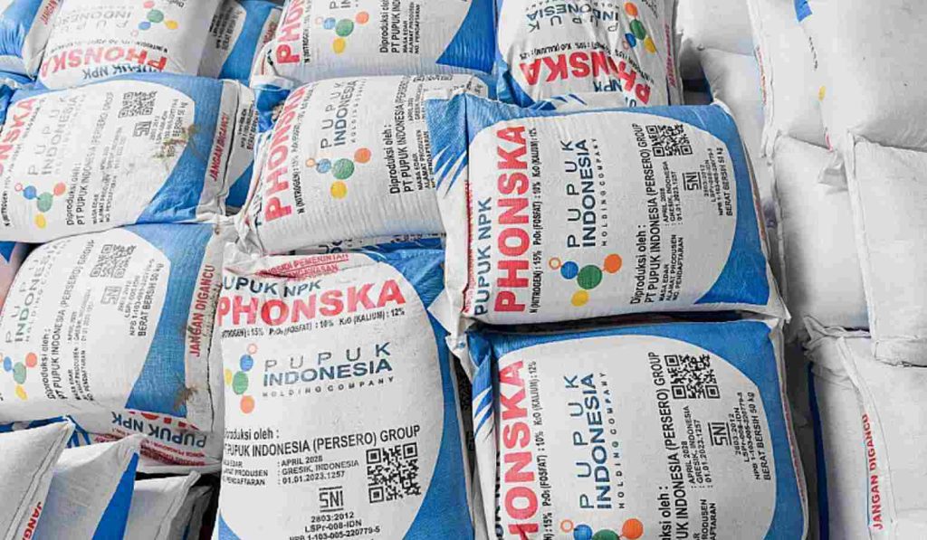 Tumpukan pupuk subsidi NPK Phonska di kios pupuk pertanian