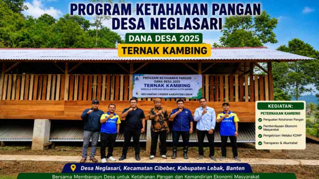 Program Ketahanan Pangan Desa Neglasari melalui peternakan kambing yang dikelola Koperasi Desa Merah Putih (KDMP) di Kecamatan Cibeber Kabupaten Lebak.