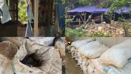Kolase pengolahan emas metode gelundung, lokasi tambang Cihejo, dan material batuan emas di Bogor